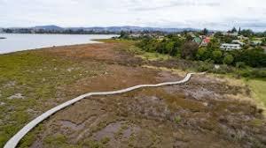 Waikareao Estuary Walkway